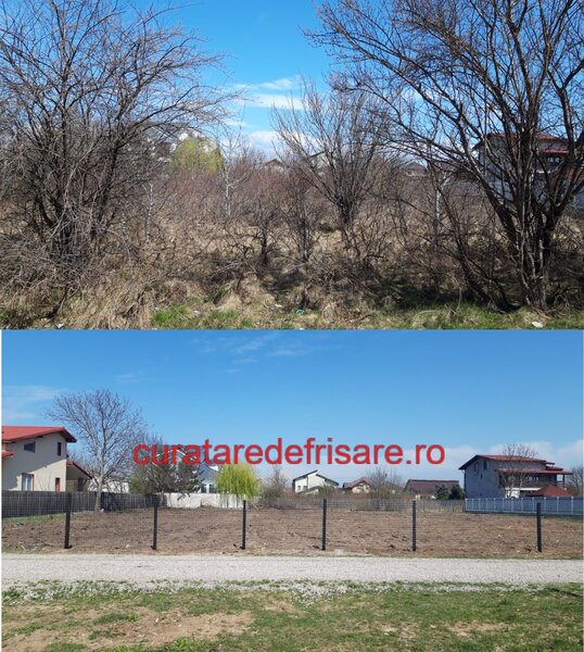 Servicii complete spatii verzi