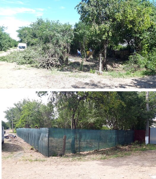 Servicii complete spatii verzi