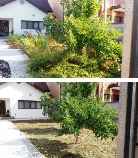 Servicii complete spatii verzi